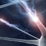 cropped-neurona1.jpg